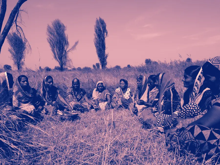 Women harvesting a crop in a village field in Rajasthan